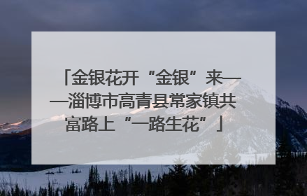 金银花开“金银”来——淄博市高青县常家镇共富路上“一路生花”